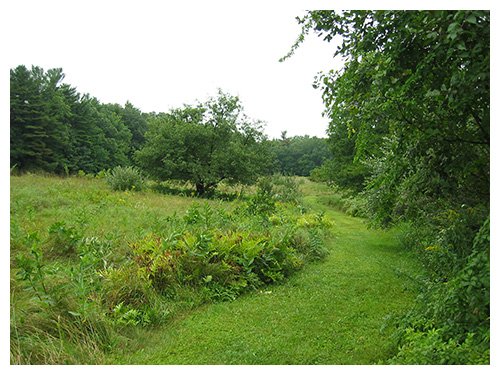 Robert Frost Farm. New Hampshire State Park; Derry, NH