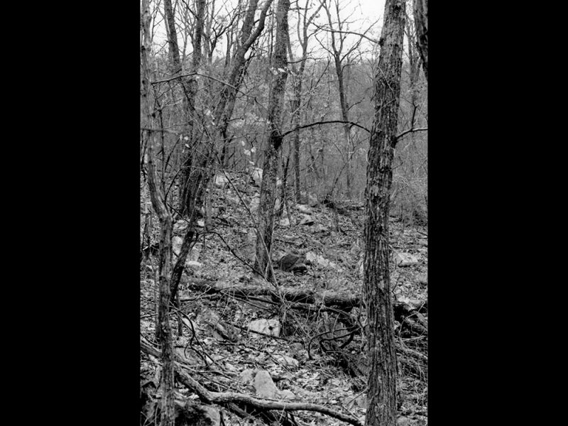 Battles for Chattanooga: [1996] Thick hardwood, understory thicket and rock-strewn terrain in the area of the Rifle Pits