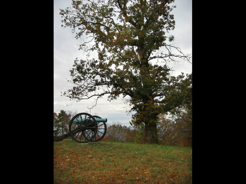 Battles for Chattanooga: [2007] The oak and cannon at the peak of Tunnel Hill, tree growth now beginning to obscure Lookout Mountain 11 years after 1996 picture