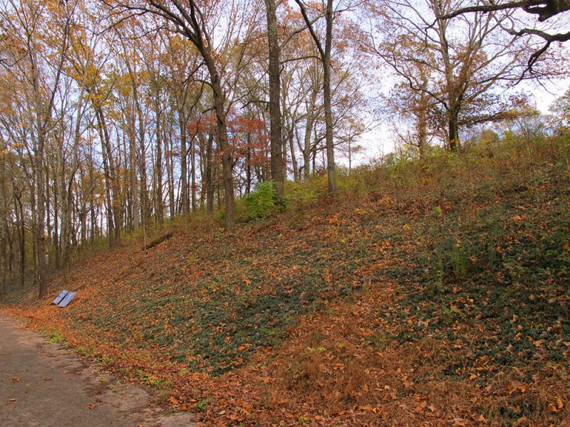 Battles for Chattanooga: [2015] The west-facing slope of Tunnel Hill, scene of fierce fighting; the forested scene true to the actual terrain of 1863